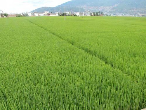 基地3