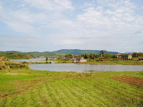 乡村美景3